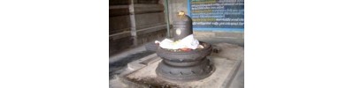 228. திருவெண்ணெய் நல்லூர்